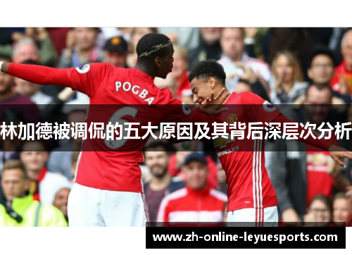 林加德被调侃的五大原因及其背后深层次分析