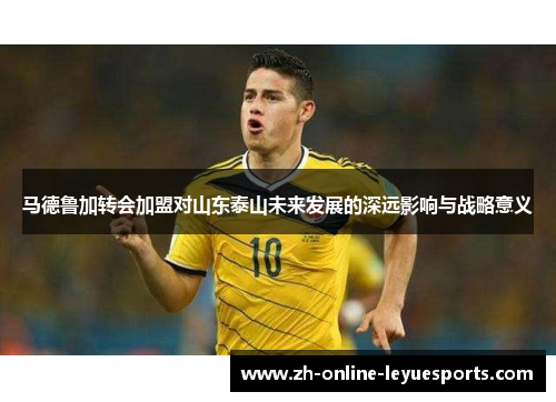 马德鲁加转会加盟对山东泰山未来发展的深远影响与战略意义