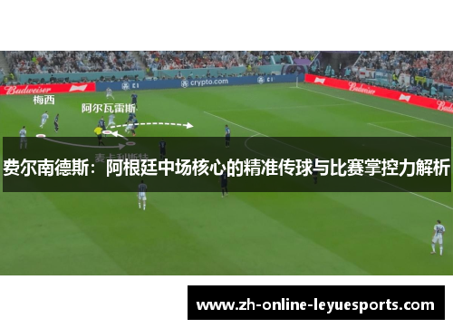 费尔南德斯：阿根廷中场核心的精准传球与比赛掌控力解析