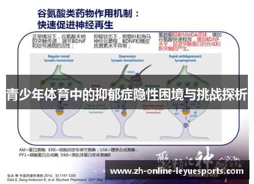 青少年体育中的抑郁症隐性困境与挑战探析