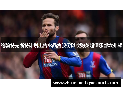 约翰特克斯特计划出售水晶宫股份以收购英超俱乐部埃弗顿